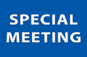 Special_Meeting_19_R.png