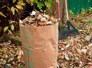 Yard_Waste_191-scaled.jpg