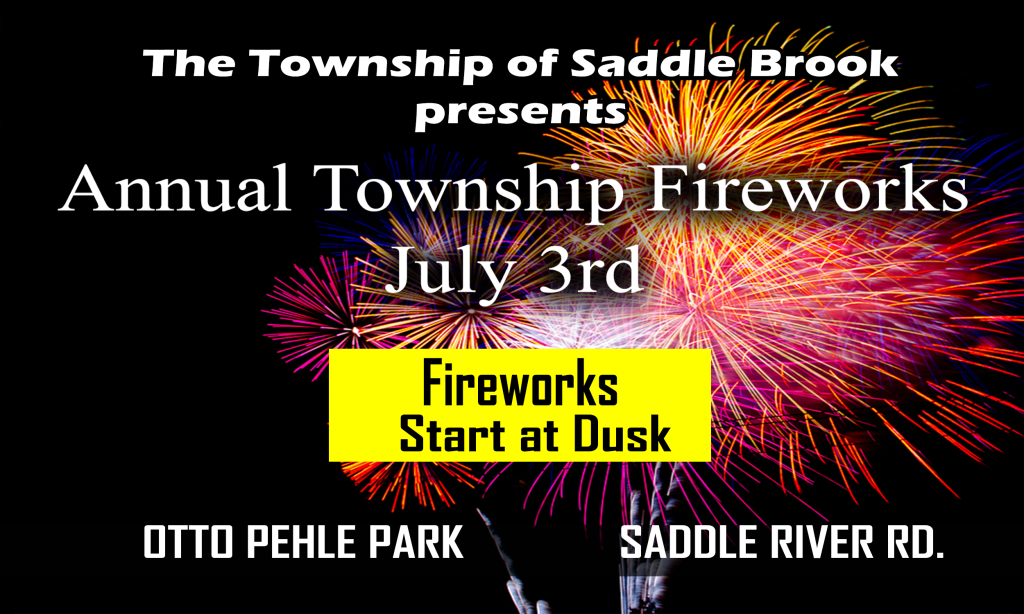 Firework Display 2025