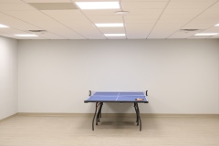 Game-Room-Ping-Pong-Table