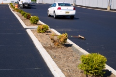 Parking-Lot-Paved-7